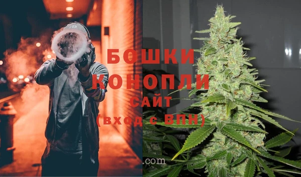 сатива Богородск