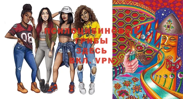 таблы Богданович