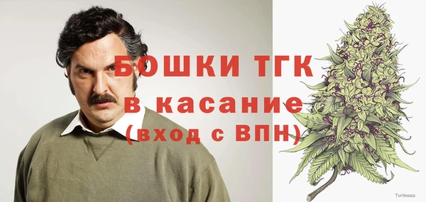 сатива Богородск