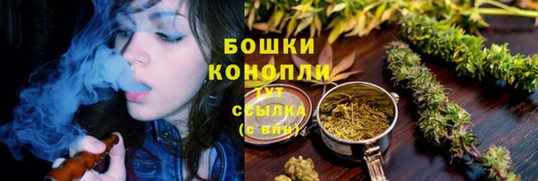 сатива Богородск