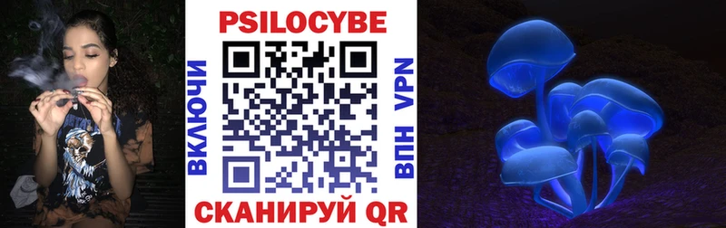 Псилоцибиновые грибы Cubensis  купить закладку  Курган 